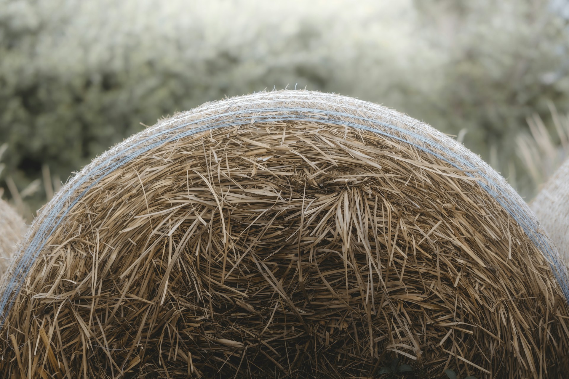 hay bales