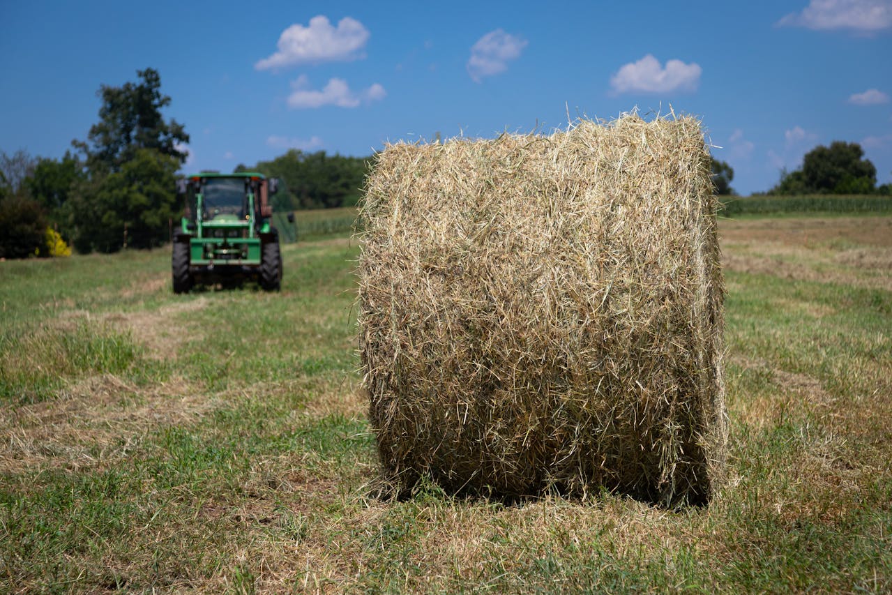 Baler Belts